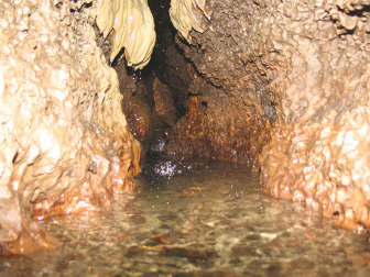 The sounds echo down the passage